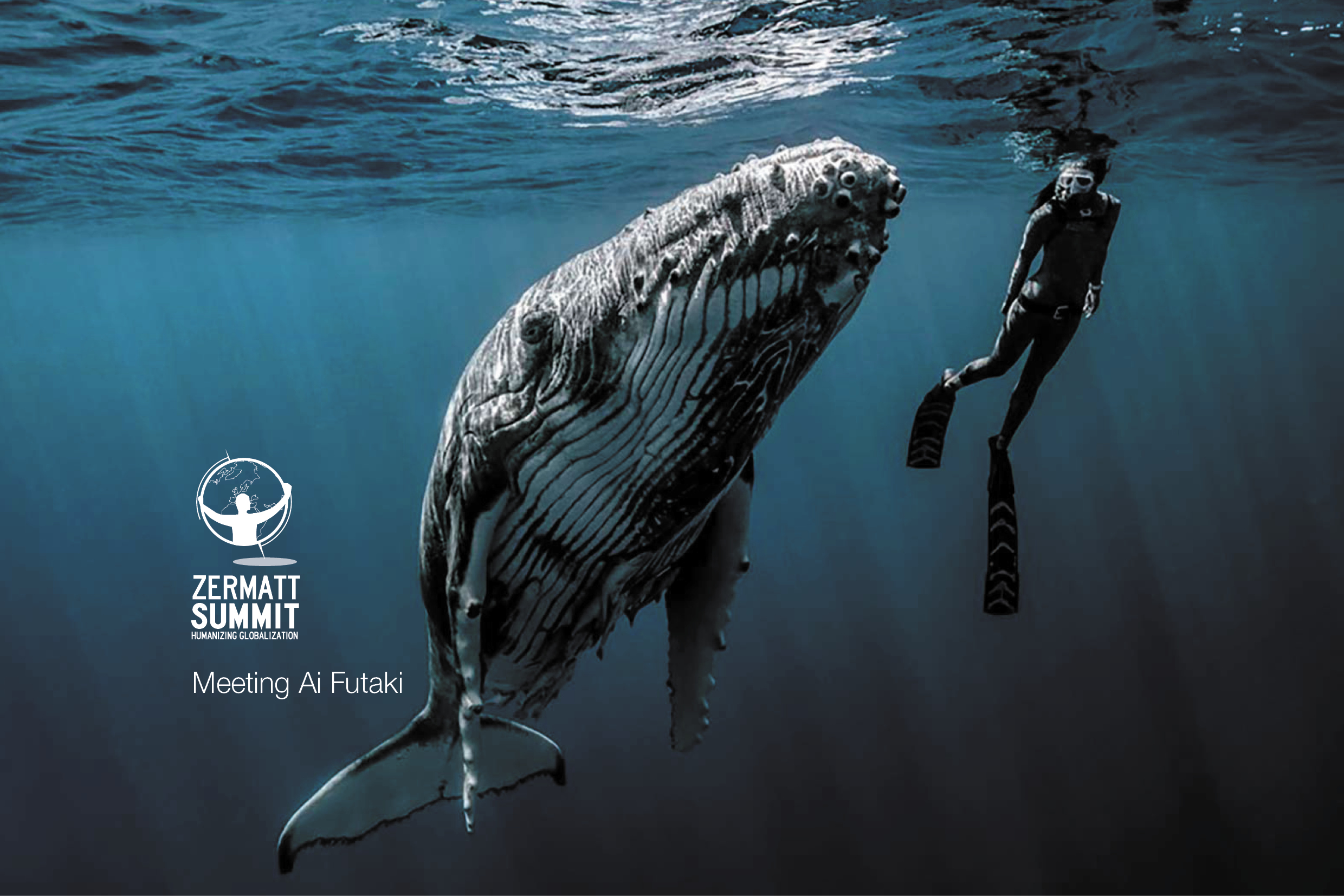 website_banner4